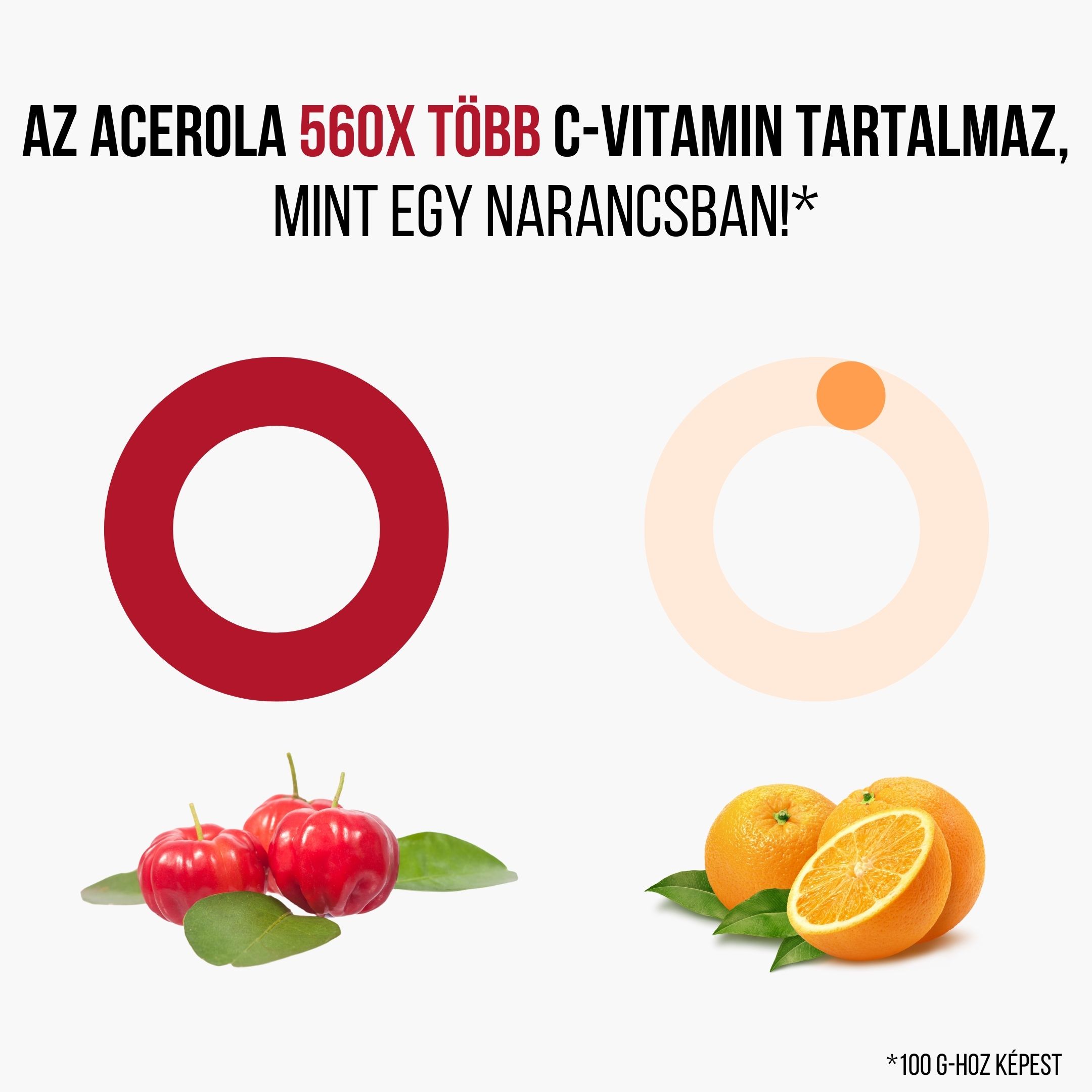 Kopie návrhu Acerola